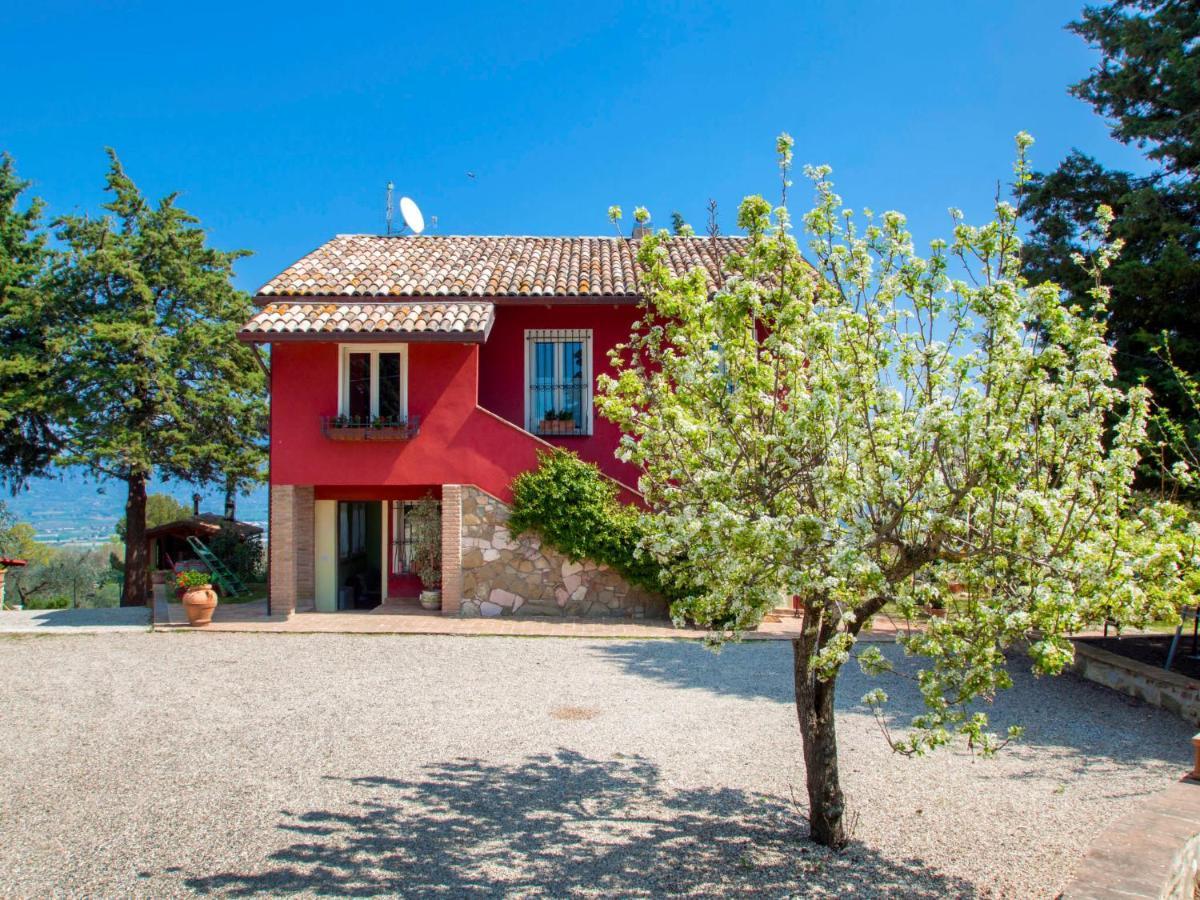Holiday Home La Letizia By Interhome Collemancio エクステリア 写真